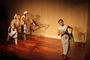 四川荷葉 四川荷葉