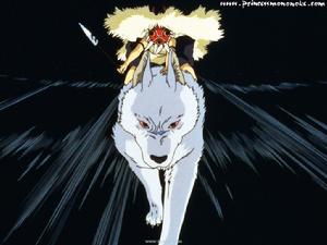 《柳川壩故事》