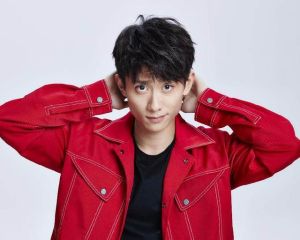 張一山[中國內地影視男演員]