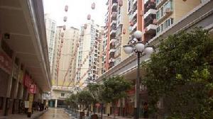 星運綠洲嘉園 星運綠洲嘉園