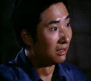 《瞧這一家子》[1979年王好為執導電影]