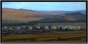 山市種奶牛場 山市種奶牛場