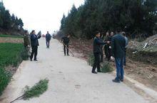 楊村鎮[天津市武清區楊村街道]