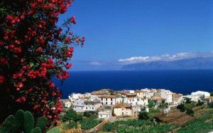 丁納加特群島省 丁納加特群島省