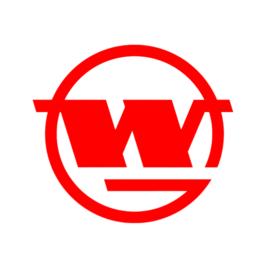 武漢鋼鐵(集團)公司 武漢鋼鐵(集團)公司