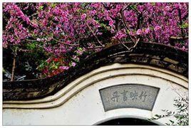 牆內開花牆外香 牆內開花牆外香