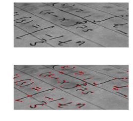 加速穩健特徵 加速穩健特徵