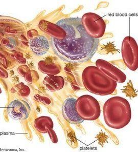 血小板分布寬度 血小板分布寬度