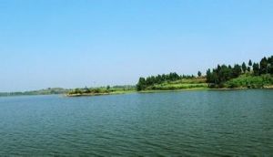 龍江湖