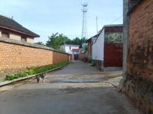 景龍二組村 景龍二組村