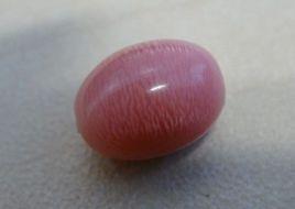 海螺珍珠 海螺珍珠