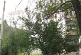 模式口北里 模式口北里