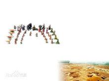 匡章墓土坑及陪葬品