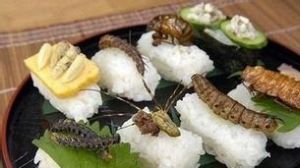 埃斯卡莫爾 埃斯卡莫爾