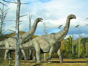 寶天曼龍 寶天曼龍