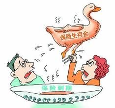 定期生存保險 定期生存保險