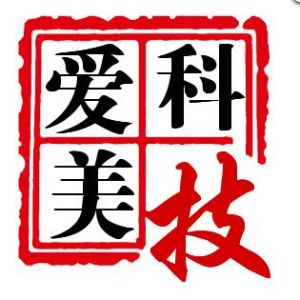 愛美科技 愛美科技