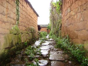 老王章自然村 老王章自然村