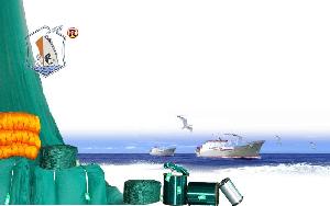 寧波市鎮海順漁網具製造有限公司 寧波市鎮海順漁網具製造有限公司