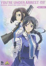 逮捕令[Studio Deen改編的電視動畫]