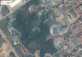 梅花山森林公園 梅花山森林公園