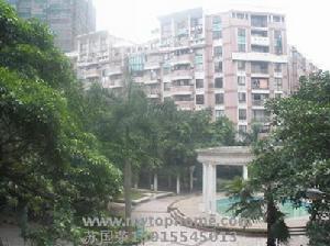 東沙街道 東沙街道