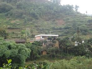 秧坪自然村 秧坪自然村