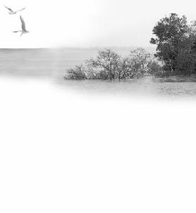 葛拉馬拉島淹沒在海水中