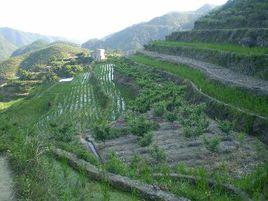 三都鄉[浙江省松陽縣下轄鄉]