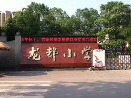 銅梁龍都國小 銅梁龍都國小