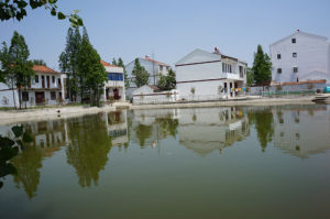 雙楊店村 雙楊店村