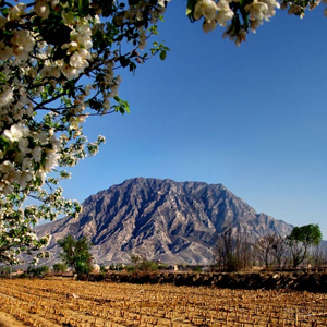 （圖）雞鳴驛村