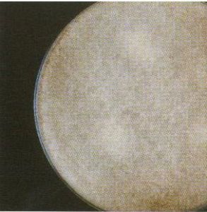 少根根霉 少根根霉