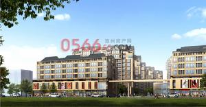 池州・水木清華