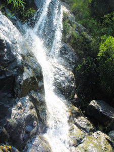 觀音山國家森林公園