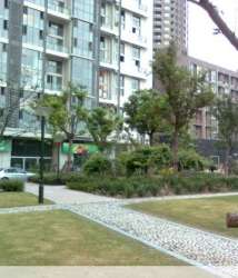 禹洲金橋國際二期 禹洲金橋國際二期