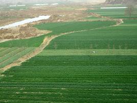 陝西省富平縣石川河 陝西省富平縣石川河