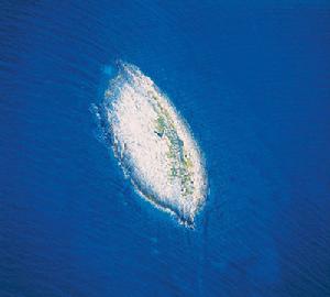 赫瓦爾島 赫瓦爾島