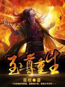 至尊重生 至尊重生