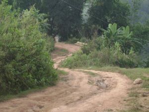 糯福自然村 糯福自然村