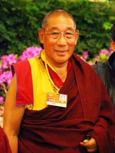 旦白尼瑪 旦白尼瑪