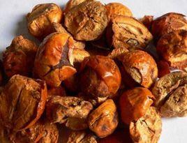 苦楝子皮 苦楝子皮