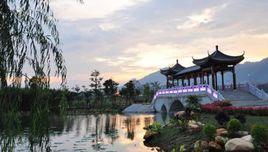 飛來湖濕地公園 飛來湖濕地公園