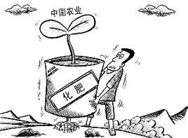 化肥依賴症 化肥依賴症