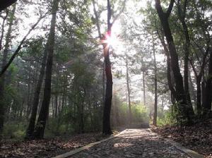 山西靈空山國家級自然保護區 山西靈空山國家級自然保護區