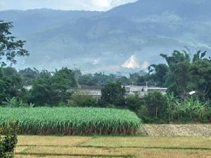 項崗自然村 項崗自然村