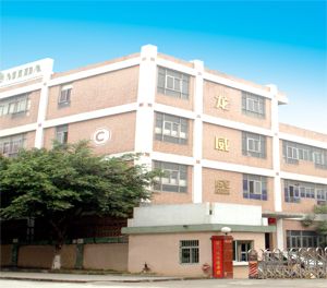 深圳市龍威盛電子科技有限公司