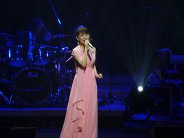 藍與黑[蔡幸娟演唱歌曲]