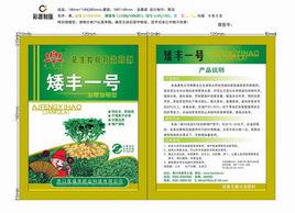 矮豐一號 矮豐一號