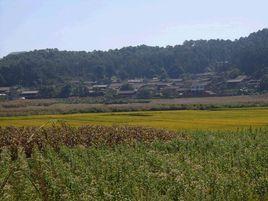 石牛自然村 石牛自然村